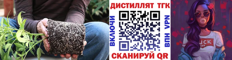 гидра как войти  Феодосия  ТГК концентрат 